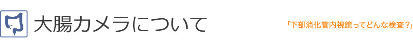 大腸カメラについて